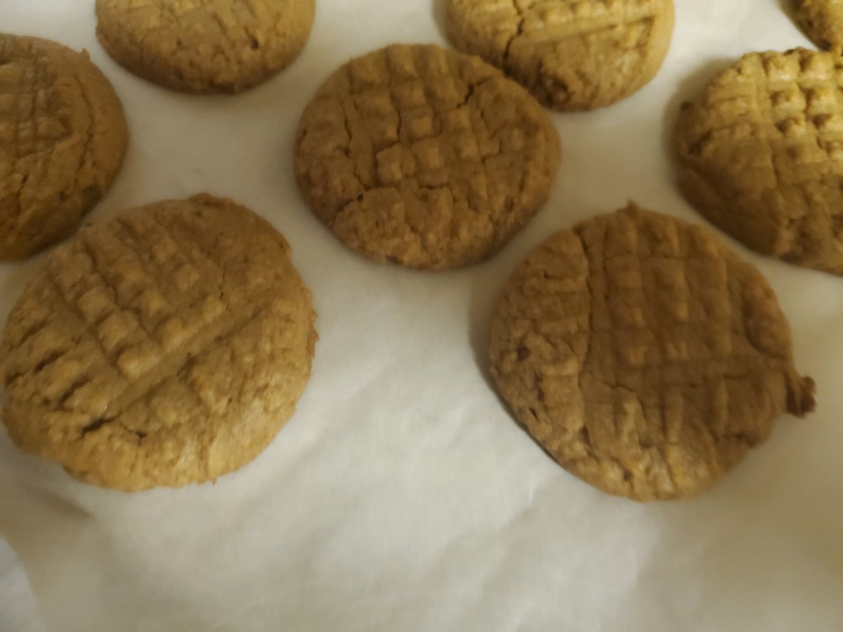 Tendaras's tweet photo. Reheated some of that baked ziti and made a salad. Honesy roasted peanut butter cookies for desert.
#VTuberCooking #VTuberBaking #VTuberEats https://t.co/qbMmF05810