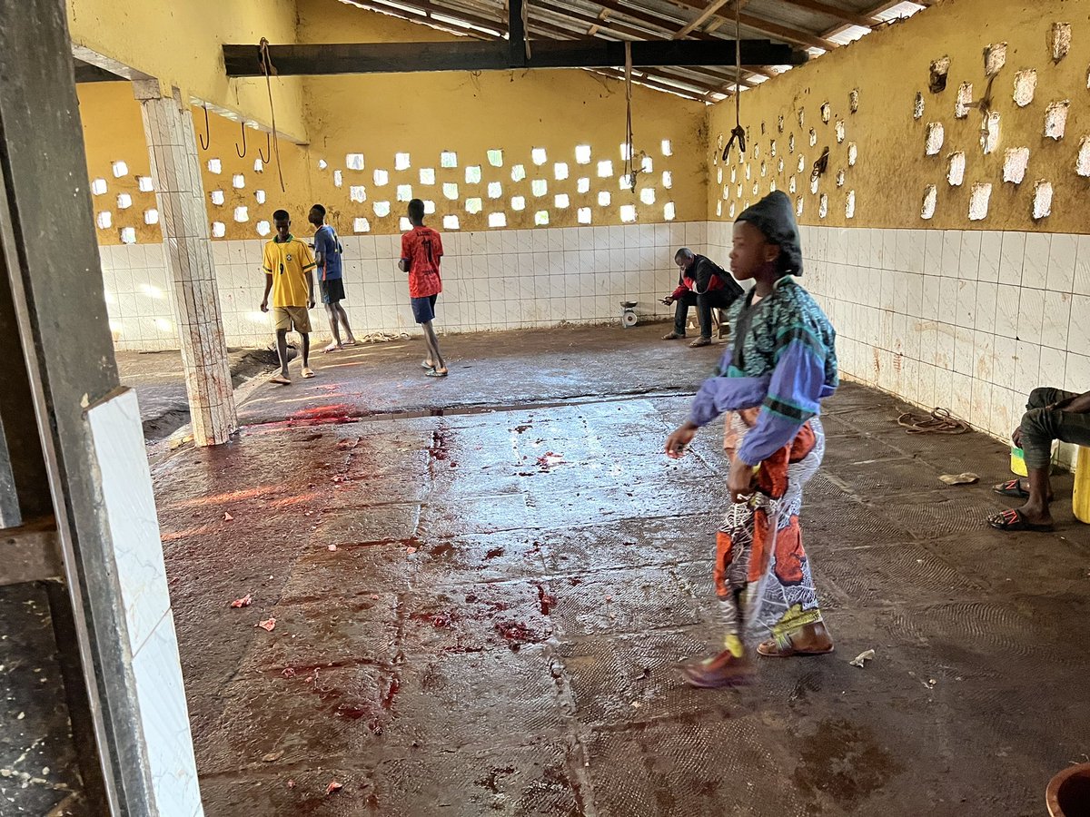 A la rencontre des valeureux bouchers! 
Ce matin j’ai démarré ma tournée dans les abattoirs et boucheries de Coyah par la visite de l’abattoir du km36. La mission était portée sur une Prise de contact avec les bouchers,