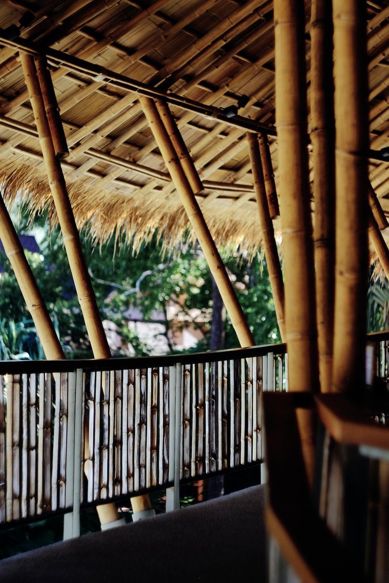 The adoption of bamboo in modern construction is slow due to several factors-  a limited number of architects and engineers and carpenters with the bamboo skills; and a dearth of international codes for design and building.

Link: unctad.org/webflyer/commo…