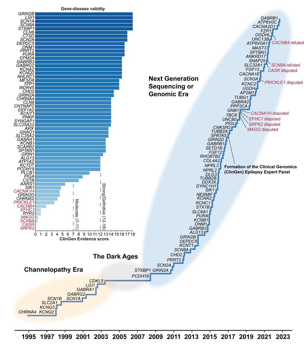 JulieXXian's tweet photo. Here's a brief history of epilepsy gene discovery and our Editorial on "Guardians of the Epilepsy Genome"

https://t.co/vo4Ikfd4Ys https://t.co/KGJ8n7iFwZ