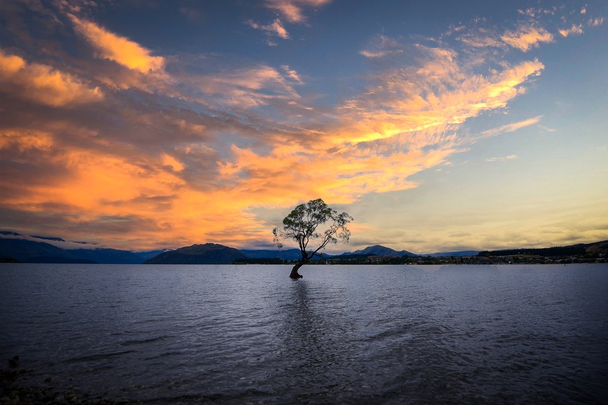 capturedbydanny's tweet photo. 📍 DESTINATION: #thatwanakatree 

#photography #photography #photographylovers #photographylife #photographyislife #wanaka #wanakanz #explorenewzealand #nzphotography #nzphotographer #photo #tree #lake #newzealandlake #nzdestinations #destinations #newzealandguide https://t.co/4tLuAMFgSP