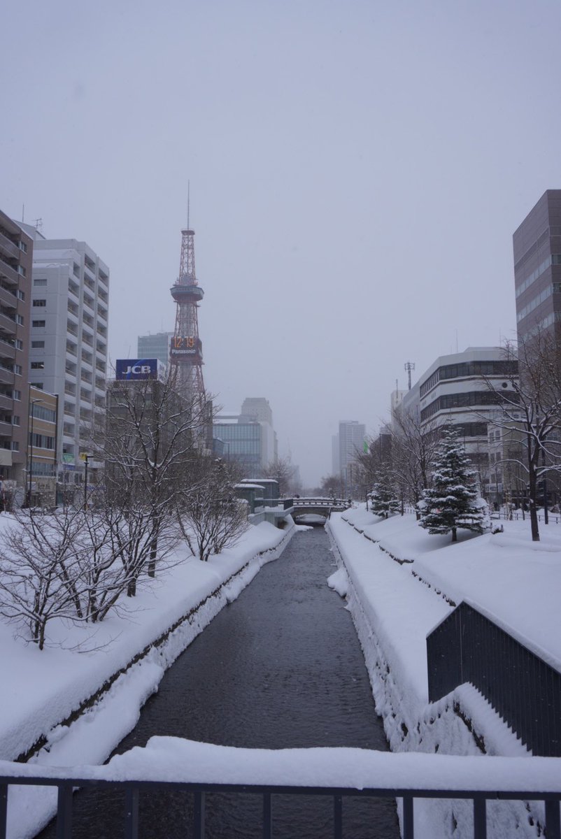 viability_cafe's tweet photo. 北海道で一泊二日で知り合いに会ってカフェ巡りしてきました！
僕の知ってる雪の柔らかさじゃなかった✨
#北海道 #国内旅 #コーヒーのある暮らし https://t.co/3APSglSPPP