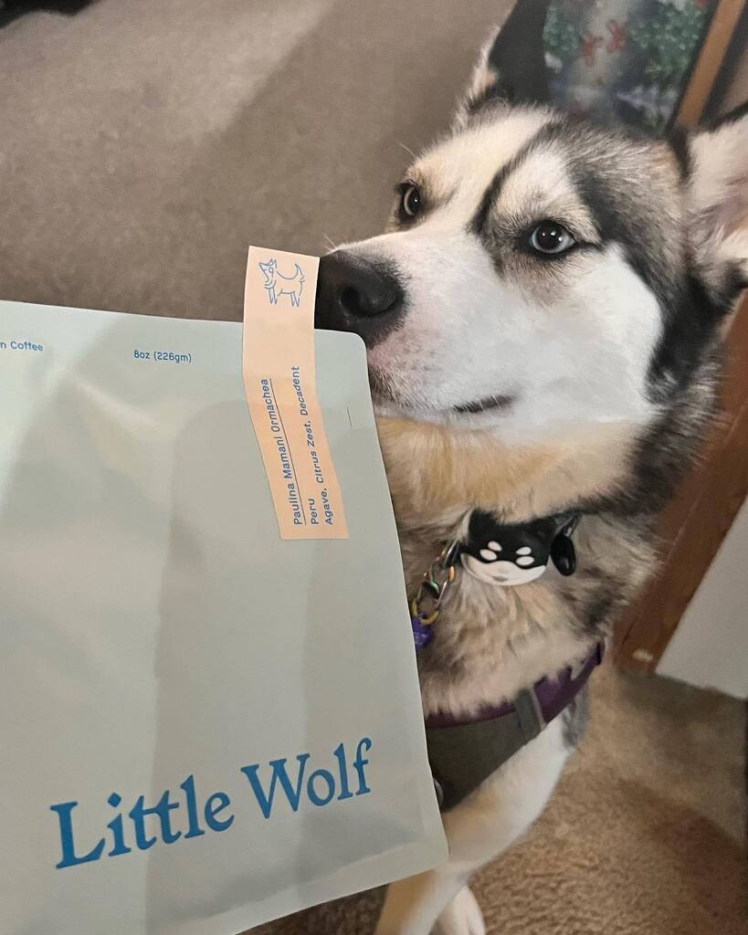 onlydesign's tweet photo. Getting ready for some Little Wolf Coffee with our little wolf https://t.co/KUiZKNZCwI https://t.co/XyL5k8YyBH