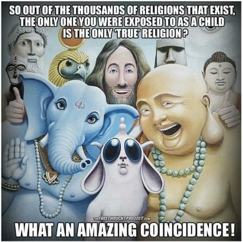 TheMadScotsWidow 🖤🏳️‍🌈🏳️‍⚧️🇵🇸🌻 tweet media