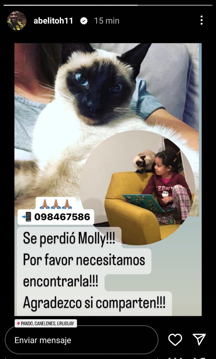 #RT #gatosperdidos
#gatoencontrado
#animalesuy 
#Uruguay