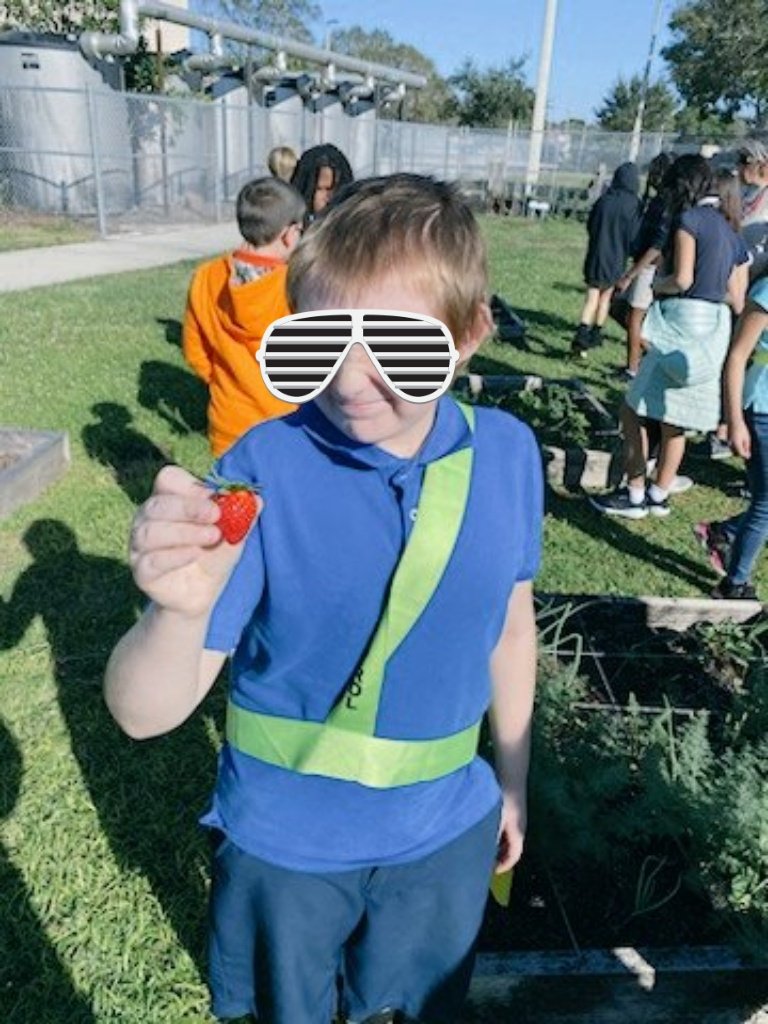 Mrs Berwick tweet media