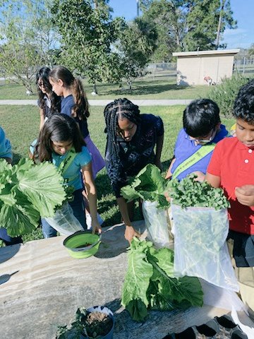 Mrs Berwick tweet media