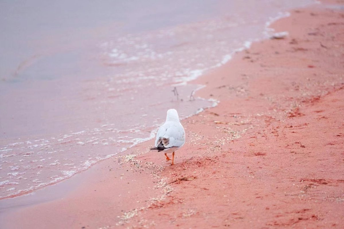 @ttsofiatt1 (@ttsofiatt11) on Twitter photo 