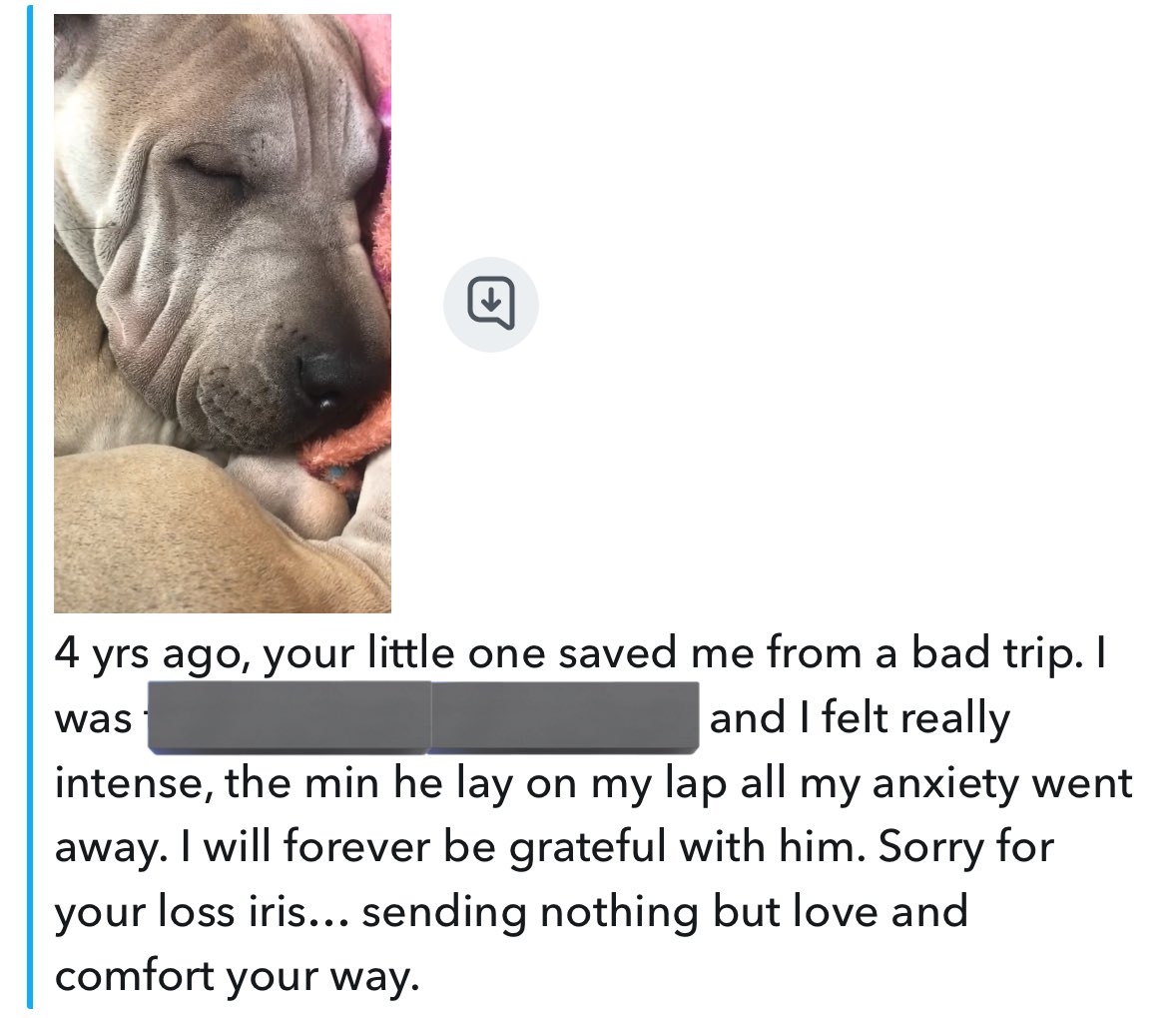 When people share any kind of memory they had with Taiter Tot… especially ones like these when my friends were anxious. (Also bc honestly Charmin could never she doesn’t care about anyone but me lmao) Taiter Tot was something else 💙