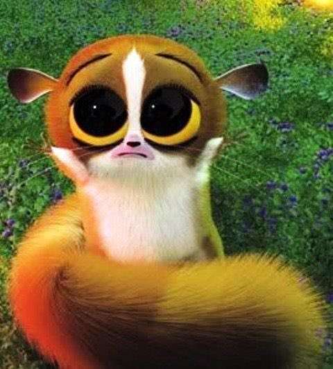 littleguysever's tweet photo. little guy alert! here is mort from madagascar https://t.co/2kc9vO8obo
