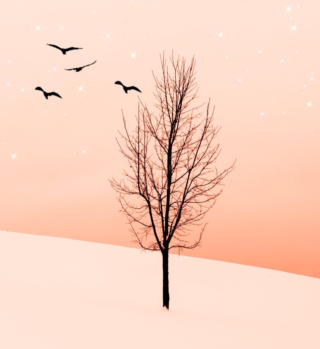 artalawilde's tweet photo. Winter dreams.
#art #photography https://t.co/0F6IUhmwCF