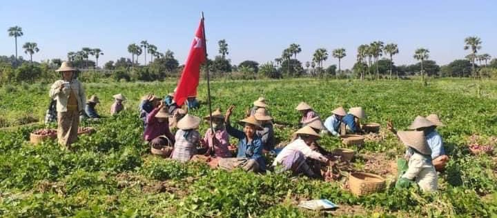 Pro-democracy farmers from a village of #KhinU Twp, #Sagaing , joined demonstration to overthrow the #MilitaryDictatorship on Jan10.

#HelpMyanmarIDPs     
#2023Jan11Coup       
#WhatsHappeningInMyanmar
