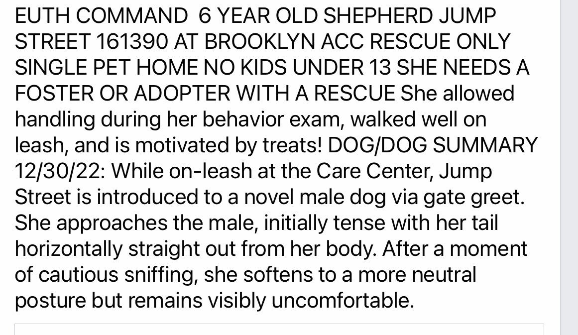 woehrlejill's tweet photo. Order to kill at Nycacc. Dies anytime if not already.
Adopter/foster needed immediately to save her.
Shepherds never do well in shelters. Probably a great dog😥
The Rottie they were going to kill last week is a perfect gem according to his adopter.
@notthesameone2 for help https://t.co/ZQoKFhchc0