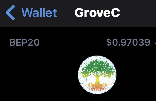 thestocks7889's tweet photo. $GRV #GRV #GVR #GroveToken #GroveExchange #GroveWallet #GroveKeeper #GroveX #GroveC #NewEra #GroveGreenArmy #Crypto #BNBย #ETH #BTCย ย #SAFEMOON #BabyDogeArmy #SHIBARMY
#GroveCoin price showing now in Trust Wallet ๐ https://t.co/BpiioSR3qc