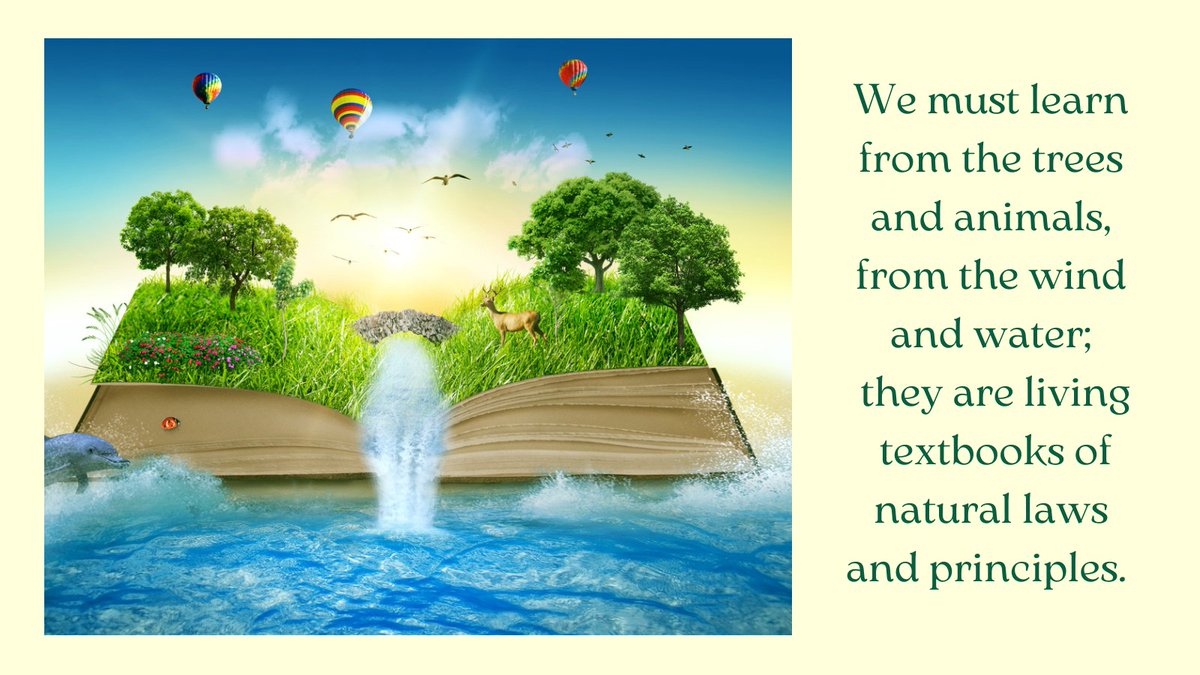 AMORC's tweet photo. https://t.co/pM9sYipuwx