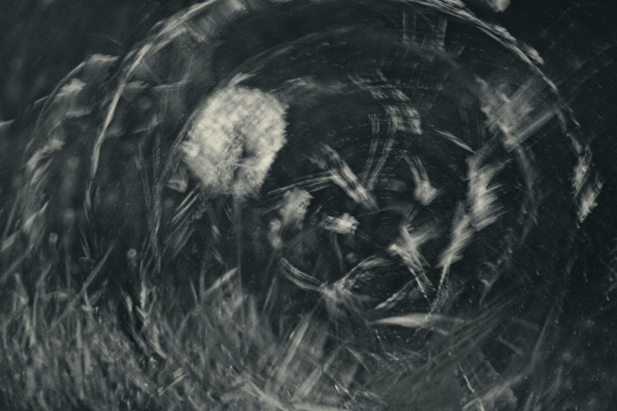 CFP and approaching deadline: "Field Theory," a special issue of PMC guest-edited by <a href="/JeffDiamanti/">Jeff Diamanti</a> (January 31, 2023). For details and information on how to submit your work, visit: pomoculture.org/2022/05/19/spe…