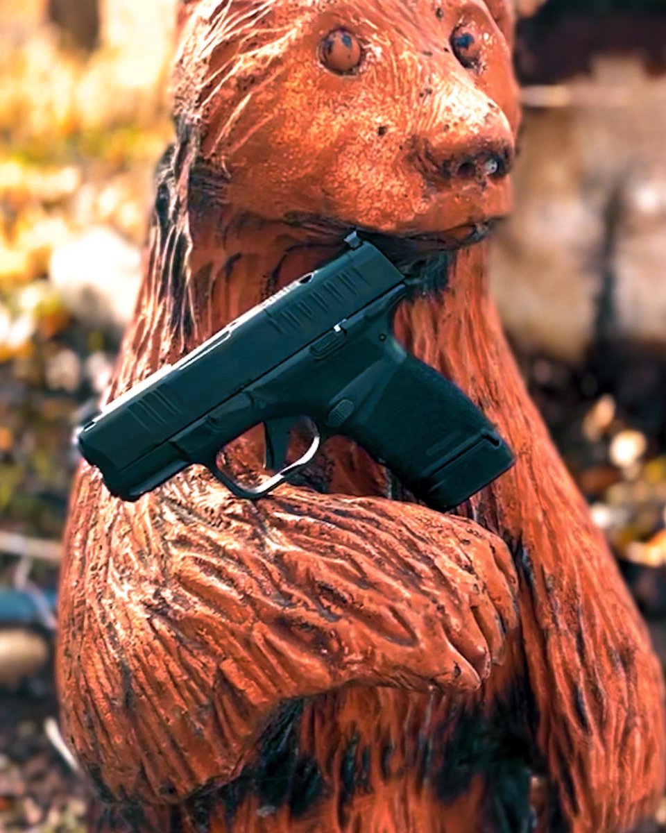 pnwpatrick's tweet image. A bear holding a cat. You’re welcome. #2A #springfieldhellcat #photography #firearms #2ndAmendment #edc #everydaycarry