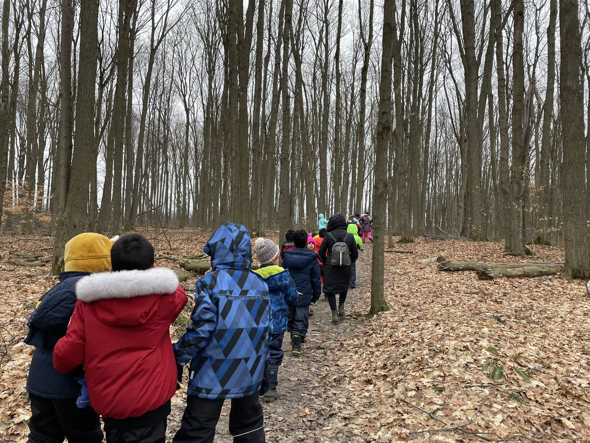 mstibollo's tweet photo. Our Grade 2s had such a fun day at @SwanLakeOE today! We hiked trails, looked at animal evidence, and explored the many characteristics of different animal groups 🏃🏻‍♀️🐾 #outdoored @YRDSB https://t.co/NxvrAe3lWY
