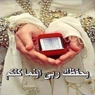 mh86653257's tweet photo. @MOHAMEDWAHBA999 https://t.co/QD5qvrjgCf