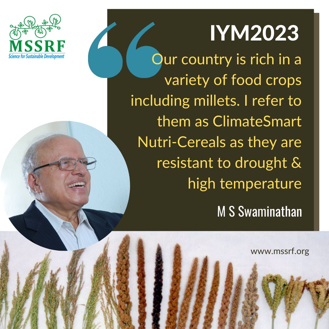 MSSRF (@mssrf) on Twitter photo .<a href="/msswaminathan/">M S Swaminathan</a> #WordsOfWisdom
#Millets are good for #ClimateResilience as they have high efficiency in absorbing & utilising #CO2
This #IYM2023, we pledge to #StandByMillets!
#MSSRF_IYM2023 <a href="/IYM2023/">International Year Of Millets 2023</a>
<a href="/moefcc/">MoEF&CC</a> <a href="/AgriGoI/">Agriculture INDIA</a> <a href="/dare_goi/">Department of Agricultural Research and Education</a> <a href="/mygovindia/">MyGovIndia</a> <a href="/pmfby/">Pradhan Mantri Fasal Bima Yojana</a> <a href="/agridept_tn/">DINESH N</a> <a href="/icarindia/">Indian Council of Agricultural Research.</a> <a href="/g20org/">G20 South Africa</a> .<a href="/msswaminathan/">M S Swaminathan</a> #WordsOfWisdom
#Millets are good for #ClimateResilience as they have high efficiency in absorbing & utilising #CO2
This #IYM2023, we pledge to #StandByMillets!
#MSSRF_IYM2023 <a href="/IYM2023/">International Year Of Millets 2023</a>
<a href="/moefcc/">MoEF&CC</a> <a href="/AgriGoI/">Agriculture INDIA</a> <a href="/dare_goi/">Department of Agricultural Research and Education</a> <a href="/mygovindia/">MyGovIndia</a> <a href="/pmfby/">Pradhan Mantri Fasal Bima Yojana</a> <a href="/agridept_tn/">DINESH N</a> <a href="/icarindia/">Indian Council of Agricultural Research.</a> <a href="/g20org/">G20 South Africa</a>