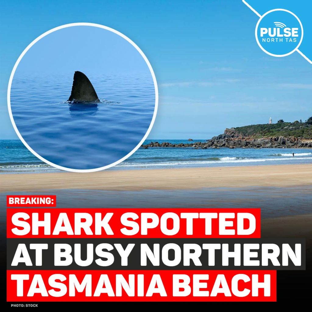 pulsetasmania's tweet photo. Shark Spotted at Busy Northern Tasmania Beach #tasnews https://t.co/nC1G8e1mvg https://t.co/ocMRalwB6I