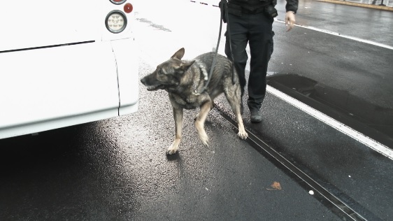KOLO8's tweet image. The Washoe County School Board of Trustees approved a firearms K9 during its board meeting held on Tuesday, January 10.

This police dog and its handler will be responsible for patrolling schools to look for any possible kind of firearm.

Click shorturl.at/cmtOS learn more.