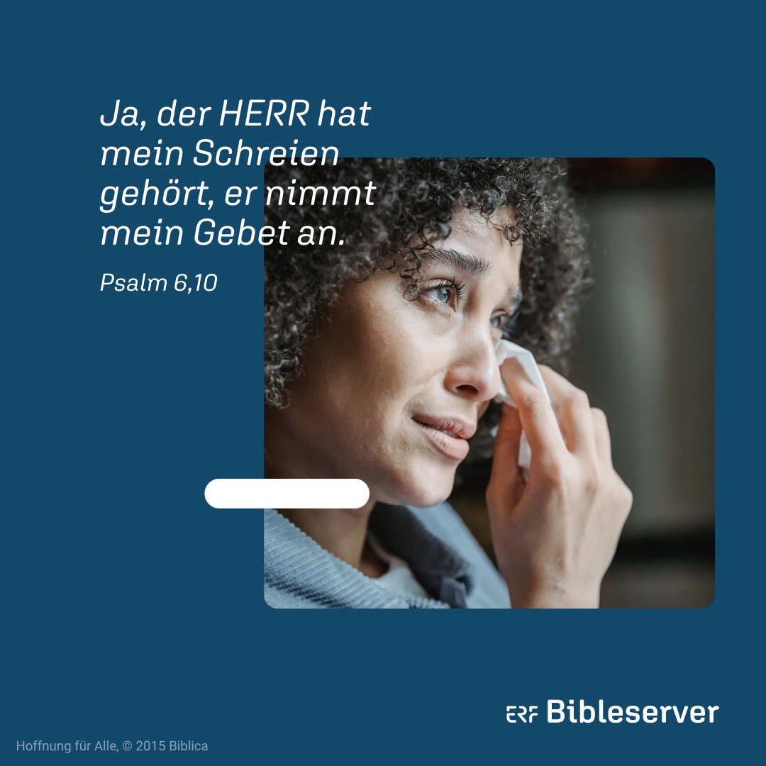 EFG Giessen (@efggiessen) on Twitter photo 