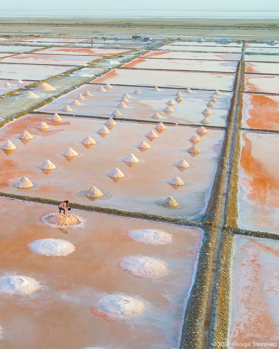 Praveen_nature's tweet photo. #Saltfeilds #SaltMaking #Salt #SambarLake #Rajasthan #Beautiful #Nature #Naturelover #NatureBeauty #NaturePhotography #Villagebeauty #Villagephotography #Droneshot #Dronephotography #India https://t.co/bbILKvBYyH