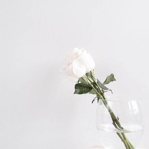 writerswho's tweet photo. a soulmate who wasn't meant to be | morticia x weems one.

The thing about going to random parties is that you're going to meet random people. The thing about letting your friends drag you to parties is that you're going to meet people you don't want to. https://t.co/cwZDtAXyLs