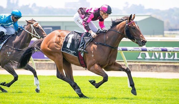 JasonMillerRace's tweet image. A dominant display put on by Crystal’s Dream this afternoon resulted in her securing her third win in a row since her campaign began. Another huge congratulations to the connections behind Crystal, what an exciting run this filly is taking you all on!