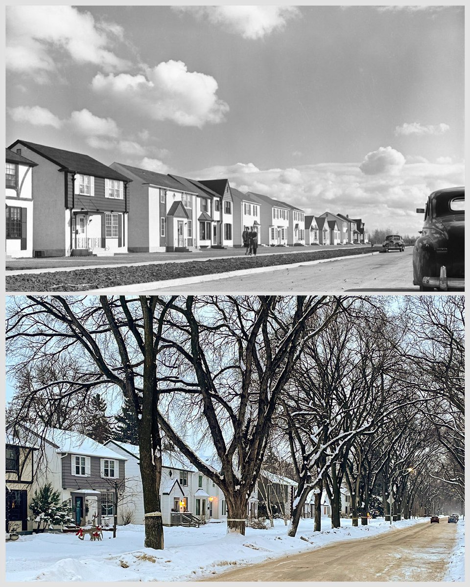 brent_bellamy's tweet photo. #WinnipegNow+Then: Waterloo Street in River Heights, 1945. Without trees it might look like a new suburb but most new suburbs won’t become the bottom photo without a grid layout, connected sidewalks, no front driveways and boulevards to plant street trees on.
Photo @Winnipeg1870s https://t.co/u4EHE2jSD6