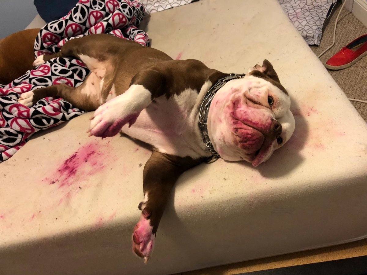 We win those. Rip the pups