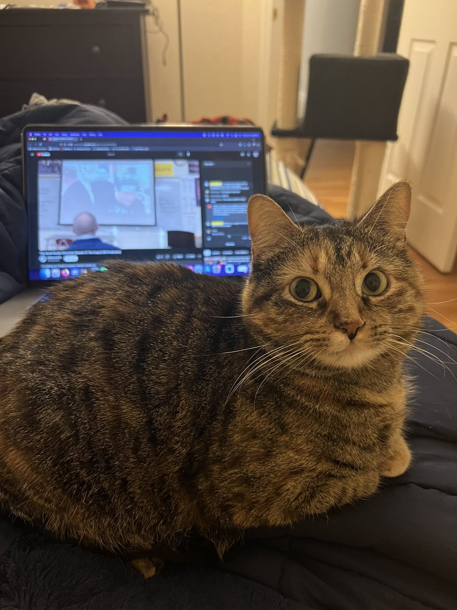 ProfPatMcKelvey's tweet photo. Nea is not impressed. She wants Dr. Keenoy to have full creative control next episode. She was also afraid of Dr. Wheeler’s British accent.
#ss3WatchParty https://t.co/as2k1lPj58