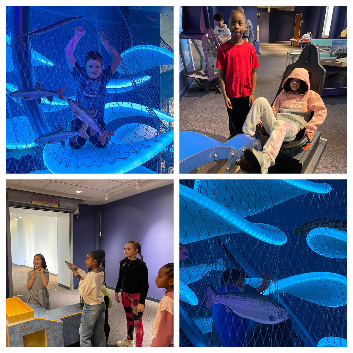 jfpaine's tweet photo. I’m still smiling from our amazing field trip to learn about frogs 🐸! Thank you @rocRMSC for a great experience for @LongridgeGCSD 3rd graders. https://t.co/mBhaEpVVnH