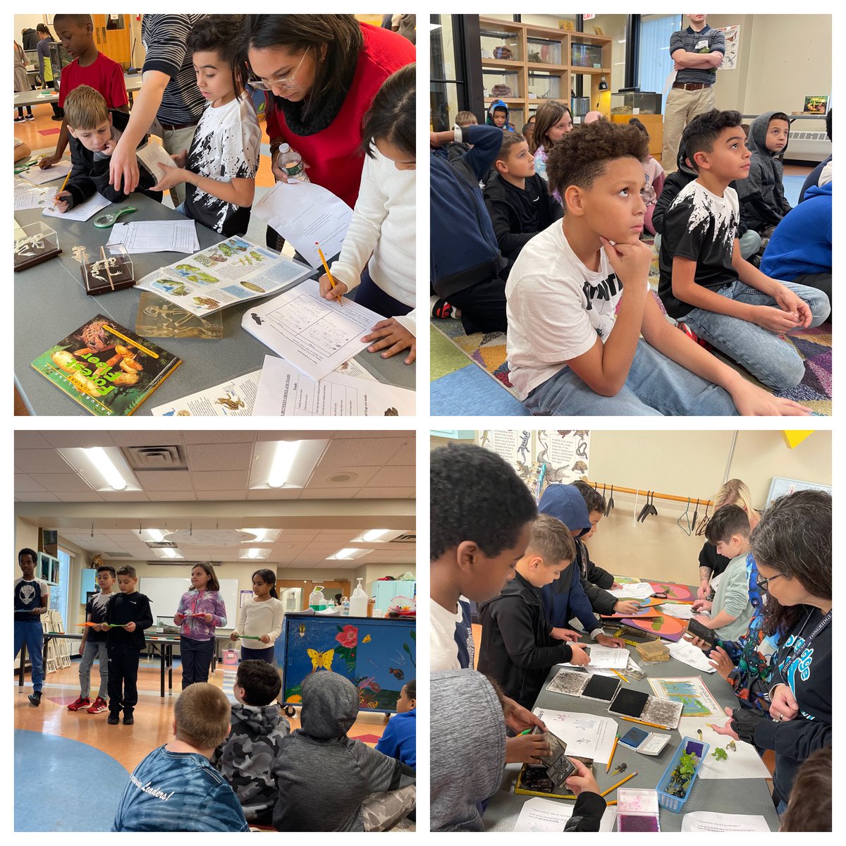 jfpaine's tweet photo. I’m still smiling from our amazing field trip to learn about frogs 🐸! Thank you @rocRMSC for a great experience for @LongridgeGCSD 3rd graders. https://t.co/mBhaEpVVnH