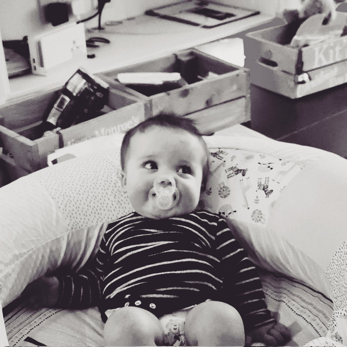 cassiewebb's tweet photo. Mr Kit 8 months old https://t.co/a9vuPoskOA