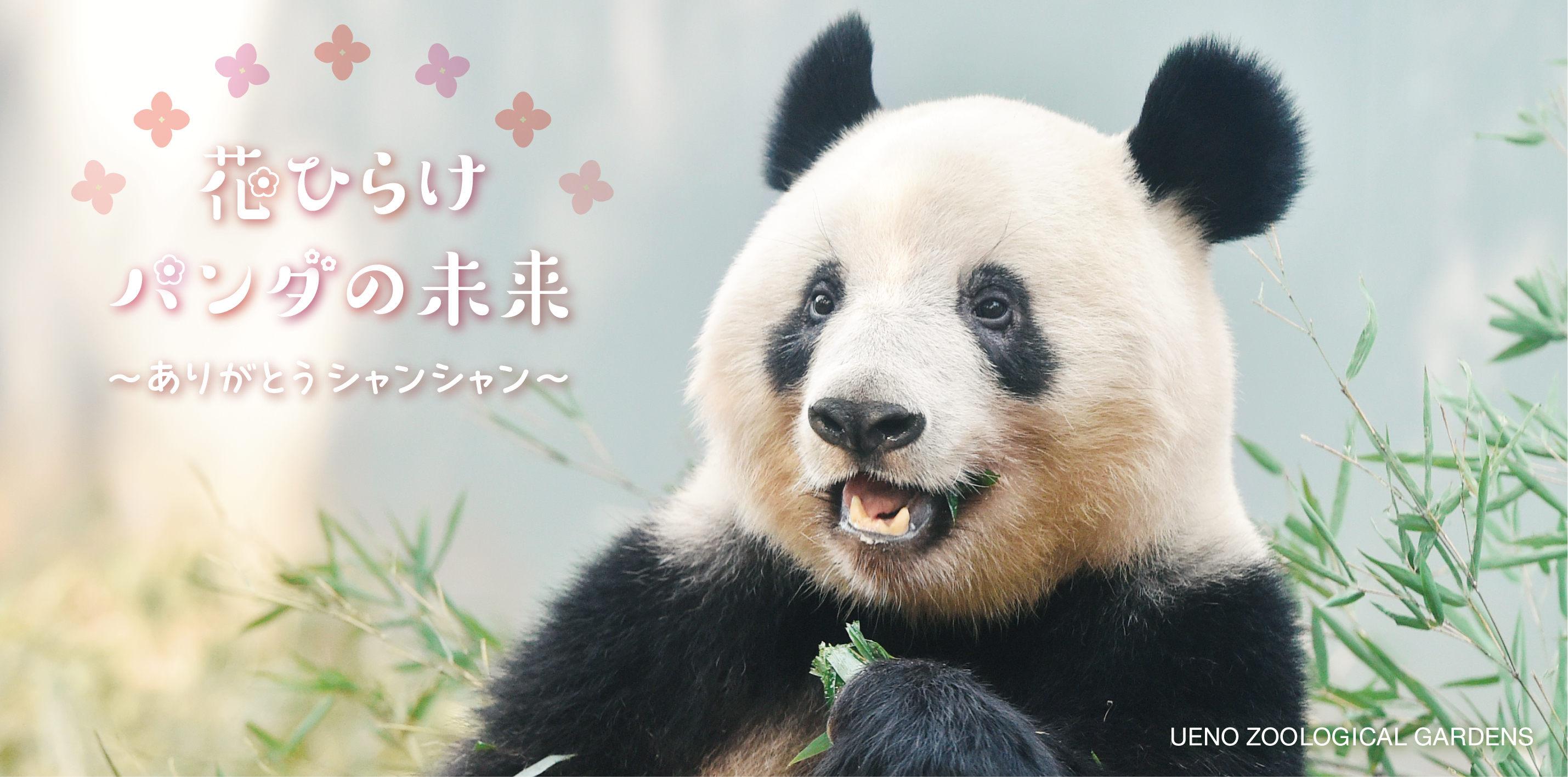 上野動物園［公式］ on X: 