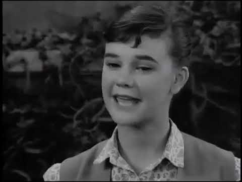 Andrea ♡ Foes2Hoes on Twitter: "Velma being explicitly a lesbian was