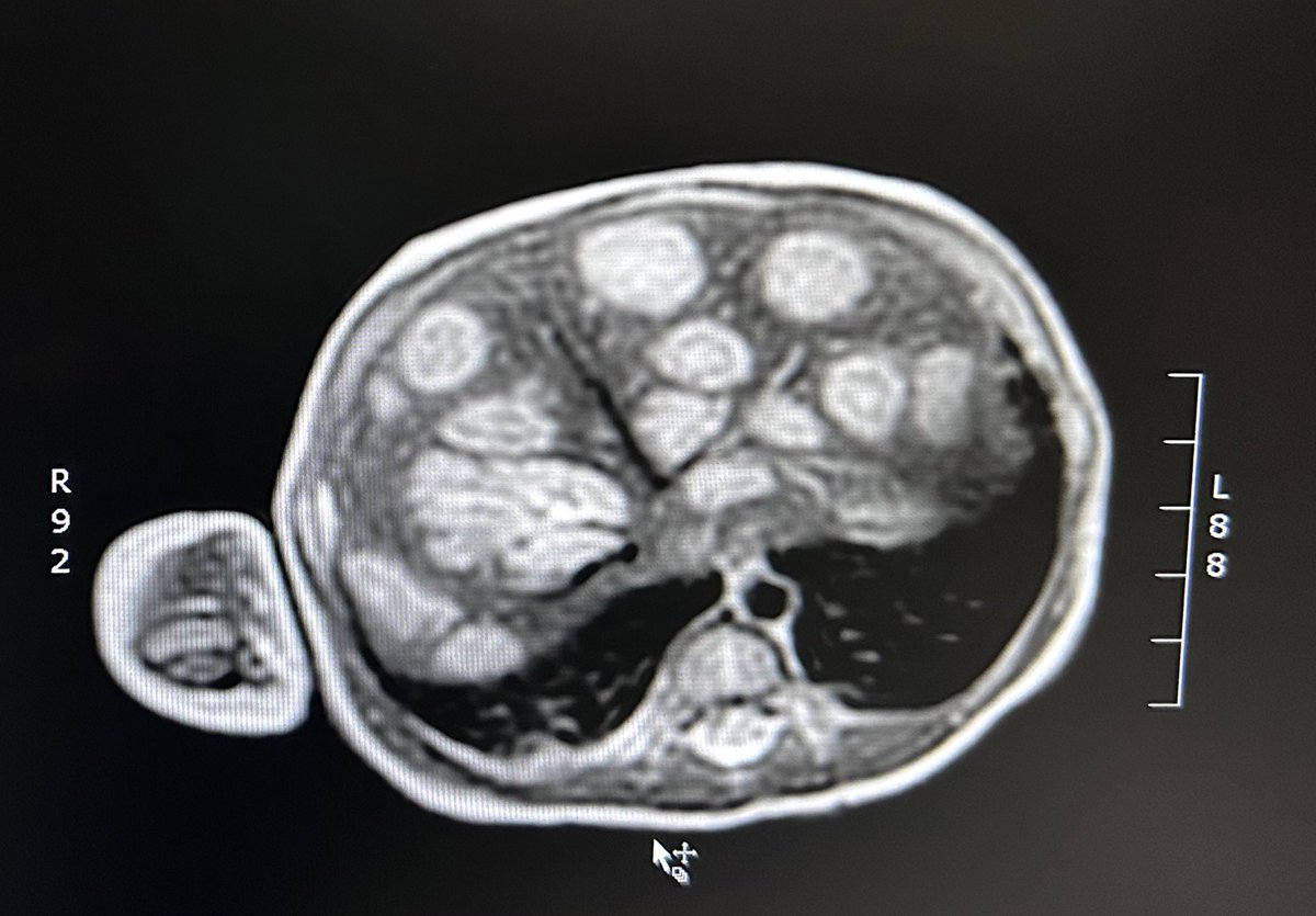 Dr. Dario Teplisky tweet media