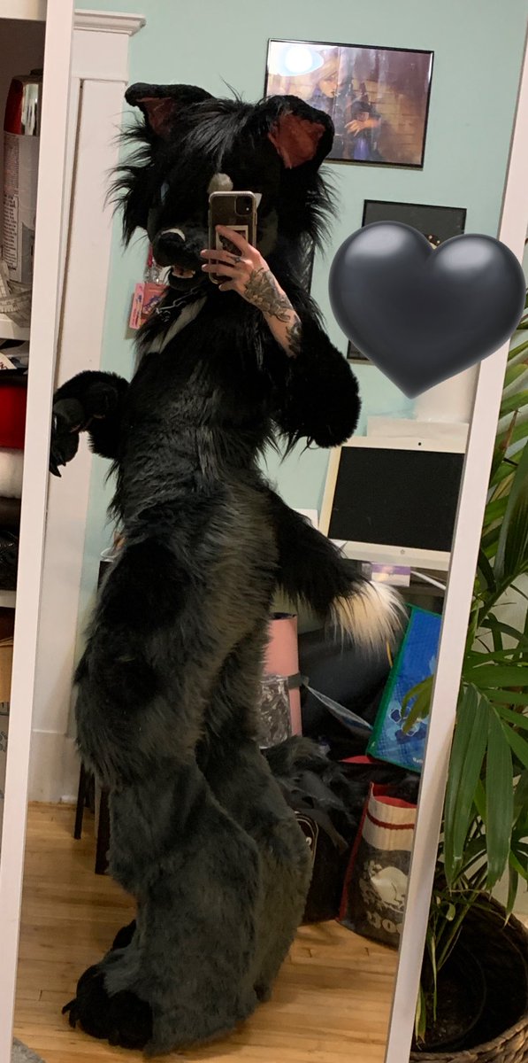 SEVENAM_'s tweet photo. little scraggly ass tail LMFAOOO love it https://t.co/4D0BKhiHTF