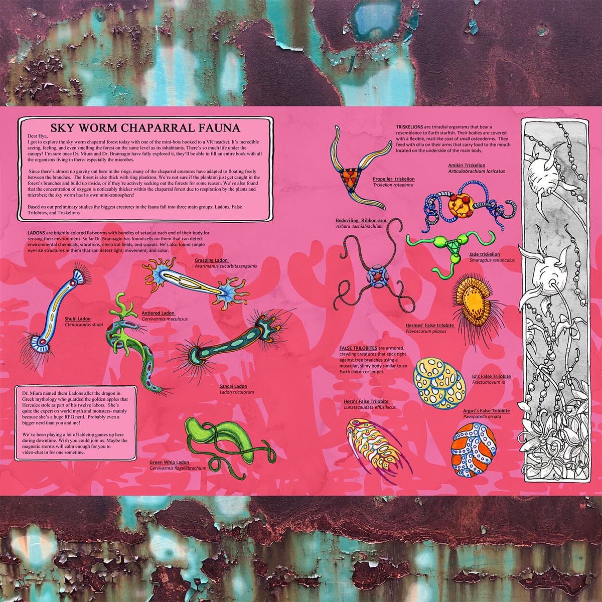 Some new semi-finished pages for my #WIP Saturn Field Guide

#speculativebiology #xenobiology