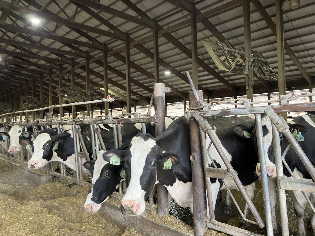 XiaZhuBarker's tweet photo. Composting manure is feasible in Wisconsin Winter! Toured #EndresBerryridgeFarms & their super cool #compostfacility . Had great conversation with farm director Jeff Endres, met Marian Viney. Learned lots about composting. Thanks Kim Meyer for the opportunity! @dairy_hub https://t.co/8op1lNs97T
