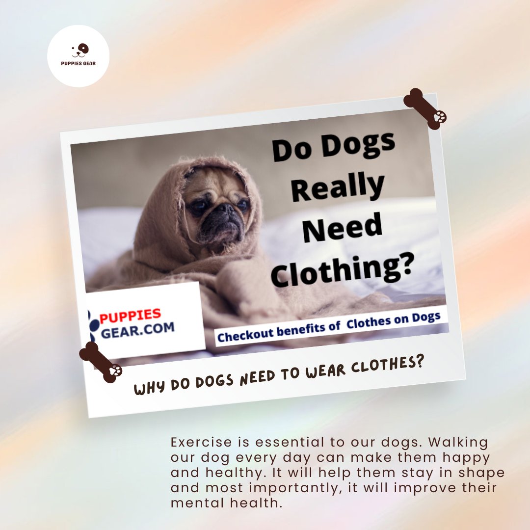 GearPuppies's tweet photo. Do Dogs Really Need Clothing? ๐ถ
Checkout benefits of Clothes on Dogs
Read this: https://t.co/fungUwdcZR
Don't forget to like and share!
#cutedog #doghome #doglife #dogvideos #dogconnection #littledogs #puppylove #puppies #cutepuppy #puppylove
#puppiesgear #doglover https://t.co/gd5QYKKTyg