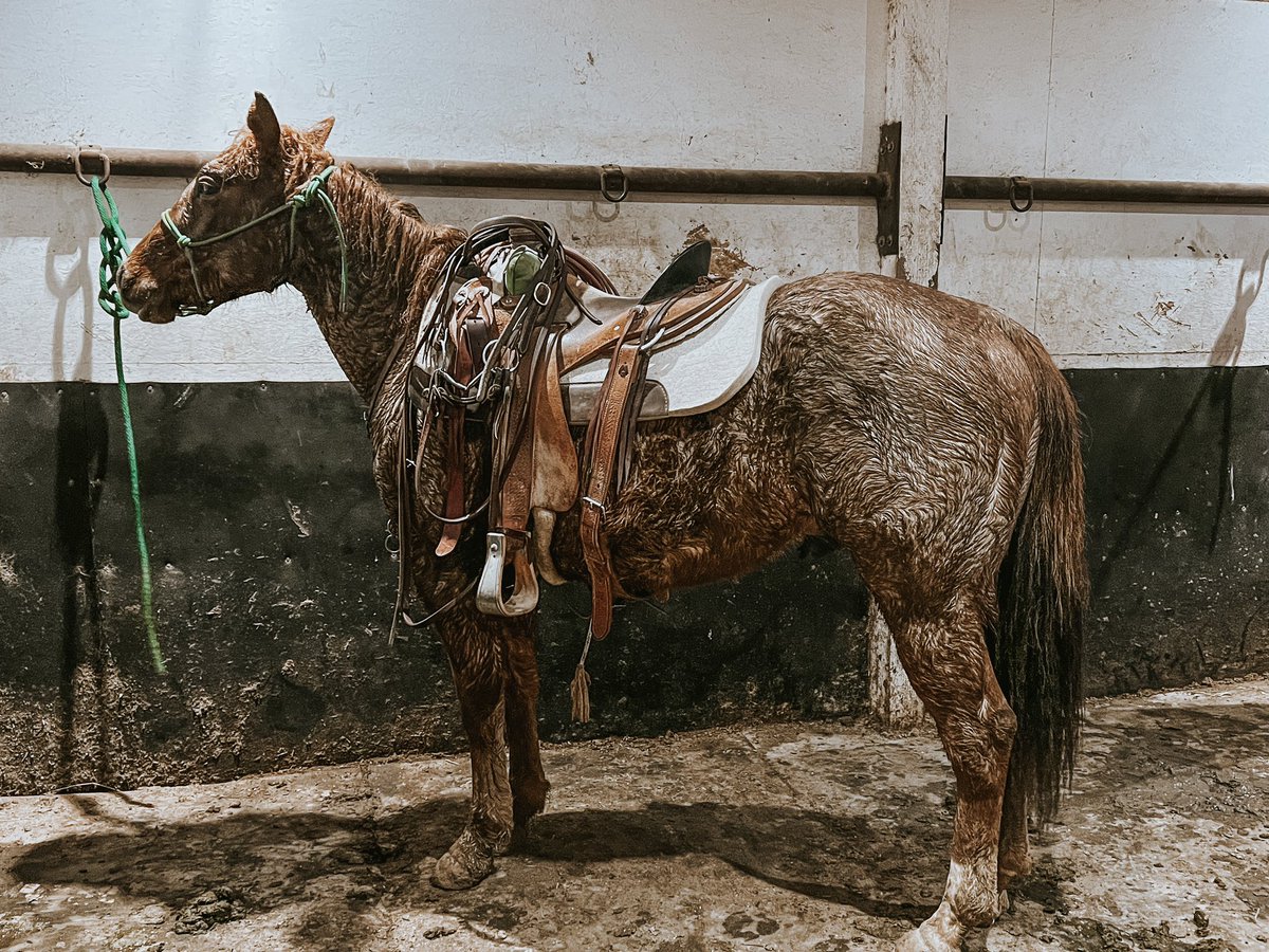 thatloperjessie's tweet image. Good way to end a Tuesday