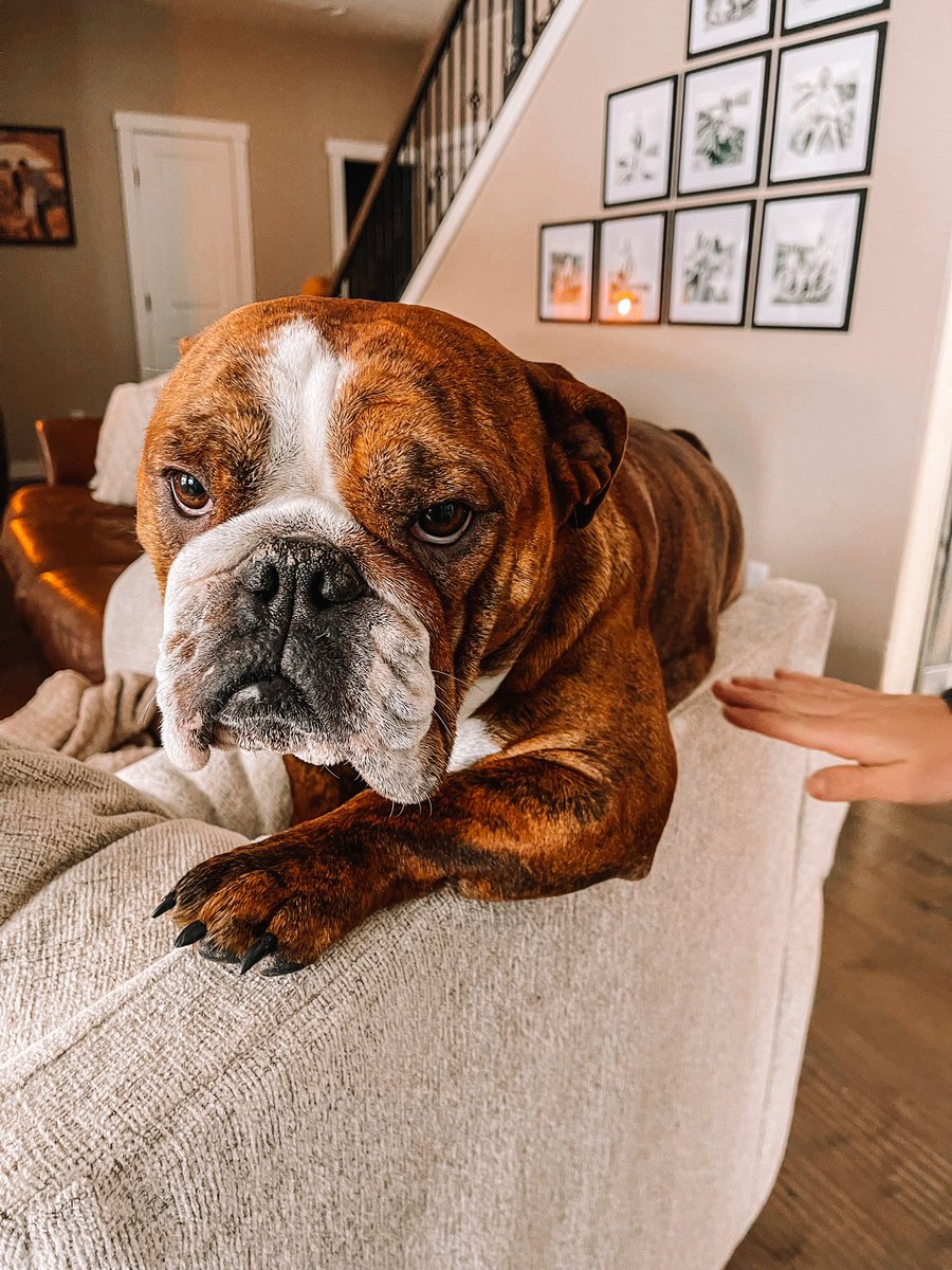 Gold⛓️🤠 tweet media