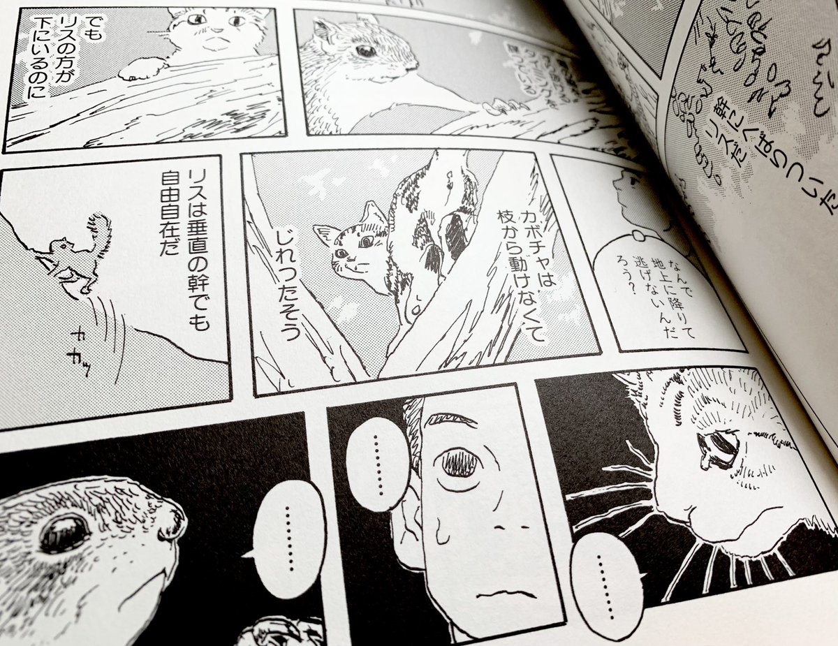 完全保存版『懐かしの猫マンガ』https://t.co/wOh3V8htUh
にて

『カボチャの冒険』https://t.co/hqJI6ElY1rを紹介していただきました。

#カボチャの冒険 は田舎で猫と暮らしたエッセイ漫画です。電子版配信中。

#懐かしの猫マンガ 