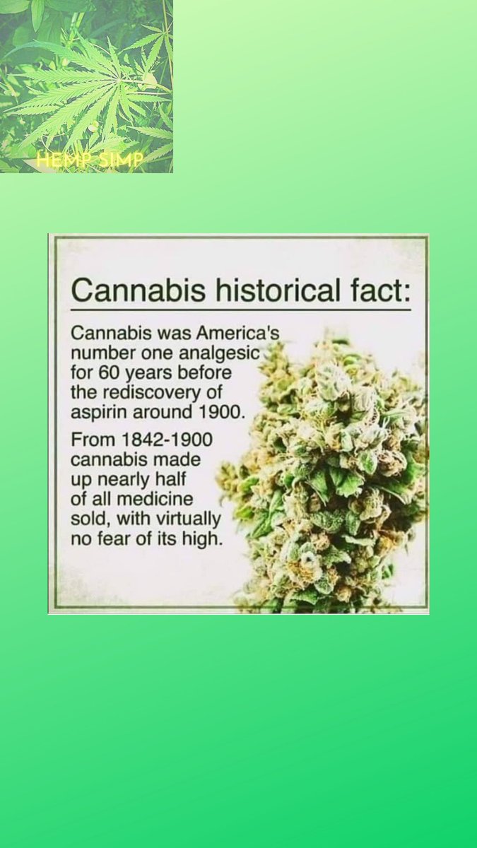 hempsimp's tweet photo. #hemp #cannabis #cannabiscommunity  #thc #weed #marijuana #cannabisculture  #smoke #kush #hempproducts #art #artist #love #drawing #photography #artwork #photooftheday #instagram #painting #fashion   #nature #photography #naturephotography #love #travel  #life https://t.co/g79f07jDCq