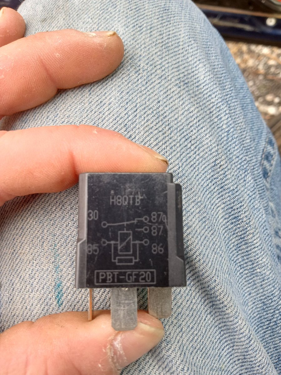 Dylan Stadler tweet media