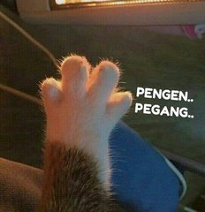 PijatPlus62's tweet photo. @macchiatoo96 https://t.co/adjS7U0H60