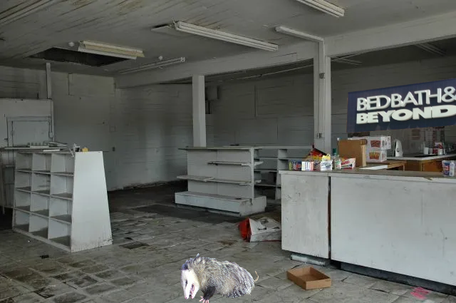 TheStockMeme's tweet photo. Stopped by my local Bed Bath &amp; Beyond, and I don't think they're gonna make it.
#stonkmemes #stocks #trading #options #investors https://t.co/2WWdeNEweg